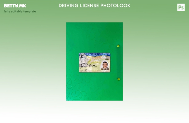 модерен стил Западна Австралија DL photolook FRONT шаблон